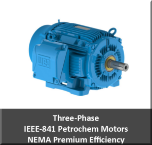 ieee motors petrochem