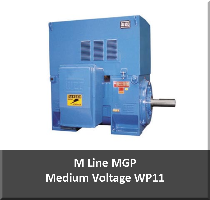 Medium Voltage Motors Houston Motor and ControlHouston Motor & Control